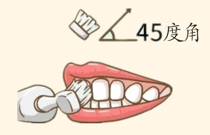 刷牙的正确方法，你刷对了吗？