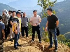 【乡村振兴】深入基层谋发展，调研指导促振兴