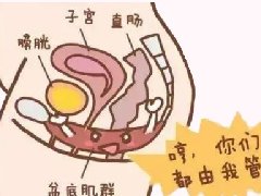 【健康科普】盆底康复——守护女性健康，与尴尬说拜拜
