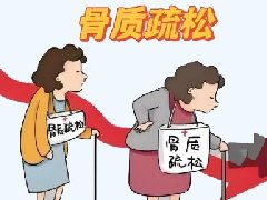 【健康科普】骨质疏松：沉默的骨骼“窃贼”，你了解多少？