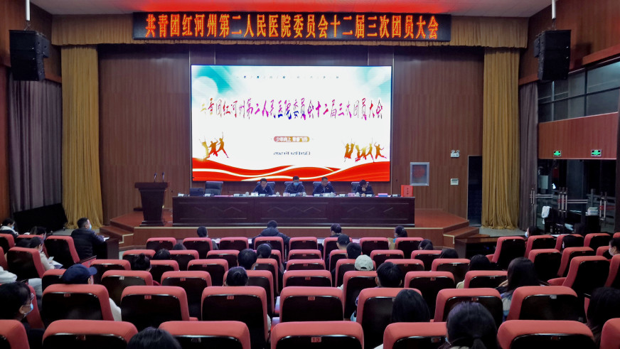 少年向上 青春飞扬|共青团红河州第二人民医院委员会十二届三次团员大会顺利