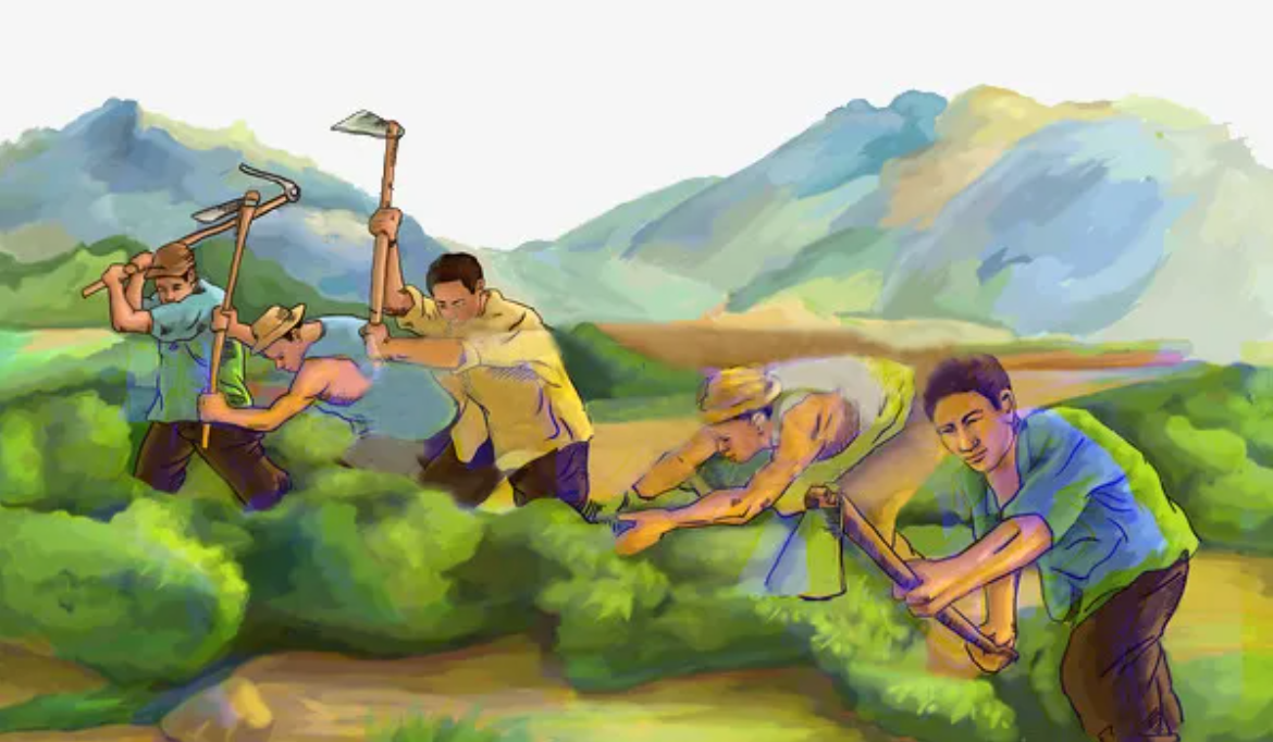 农耕疗法|用“种地”助力精神疾病患者恢复