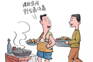 野生菌上市季节，这些提示要记牢