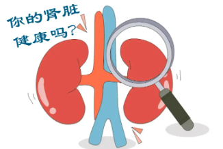 【科普】小结石隐藏“大危害”