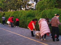 【活力卫健】红河州第二人民医院开展爱国卫生大扫除活动