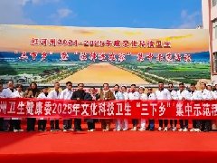 【担当卫健】服务基层群众 助力乡村全面振兴 ——“三下乡”活动走进曲江镇