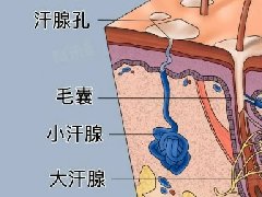 【健康科普】小切口解决大问题，微创手术治疗解决腋臭困扰