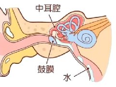 【健康科普】耳朵里的“气压平衡管”——咽鼓管功能不良科普
