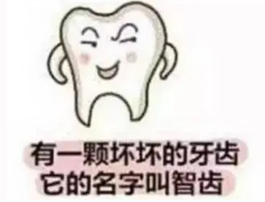 【科普】什么是智齿?看完就知道你的智齿需不需要拔了
