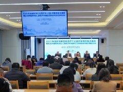 2025年滇南精神区域医疗中心县乡联盟体能力提升培训班在红河州第二人民医院顺利举行